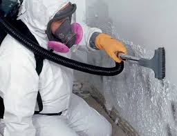 Why You Should Choose Our Mold Remediation Services in Bell Gardens, CA